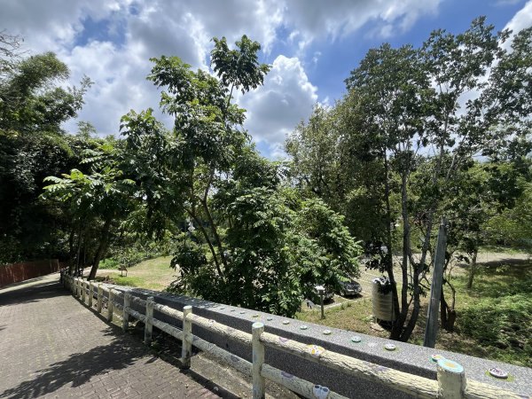 [百山百鳥尋旅-03/15] 2025_0817 虎形山公園步道2863109