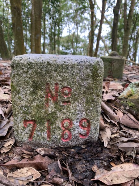 20250129高雄塔羅留山-塔羅留山南峰-他果晏山2705270