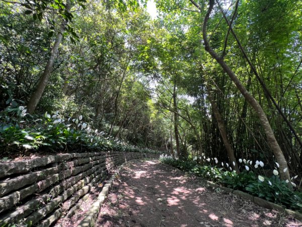 二訪硬漢嶺1745790