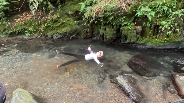 月眉坑瀑布步道.卯澳.雙柑公路2224831