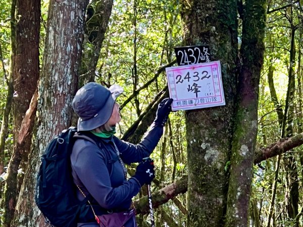 船型山環走大雪山210林道2978061