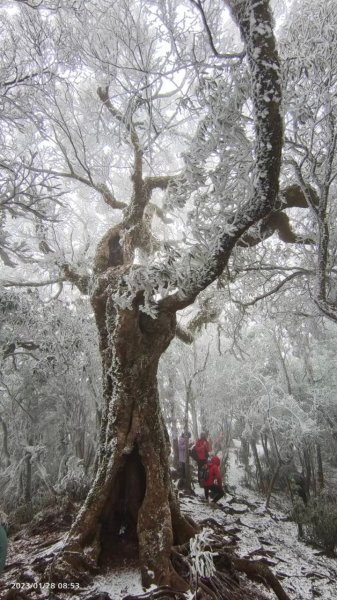 雪季北得拉曼2956488
