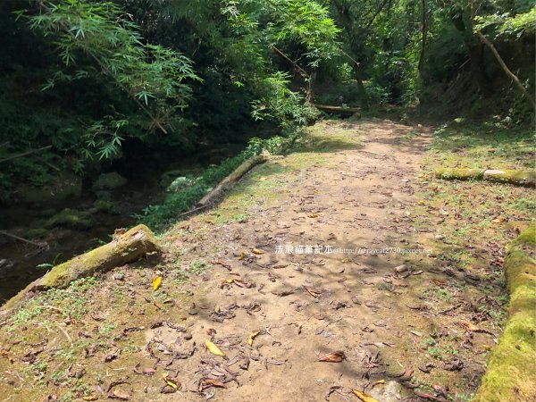 三貂嶺越嶺猴硐步道1035727