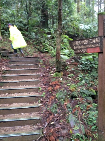 小百岳:東眠山&東滿步道1520261