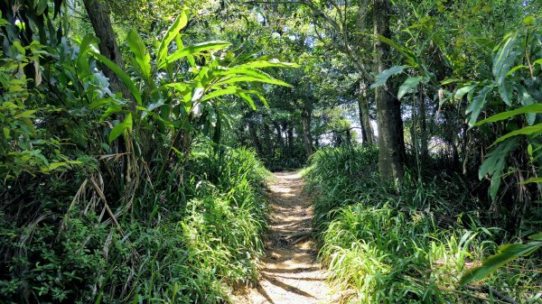 拳山古道,土地公嶺古道,中埔山古道,文山森林公園2578175