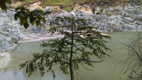 溪水潺涓的半嶺水圳步道、硫氣氤氳的龍鳳谷890897