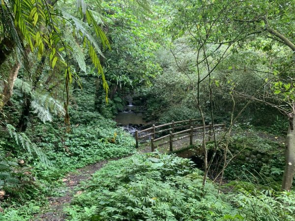 大崎棟古道、騎龍古道2772346