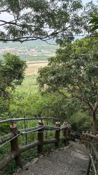 941（旗尾山2905669