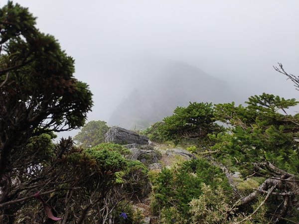 北一段(06/14)巴巴山 2025_0906~132886712