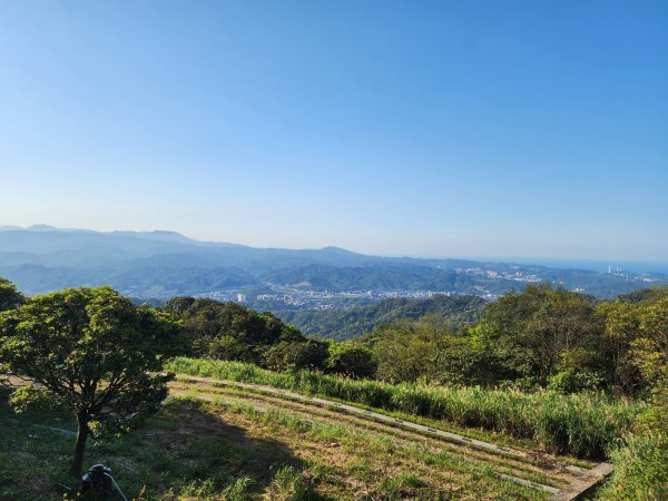 20250322-姜子寮山2740012