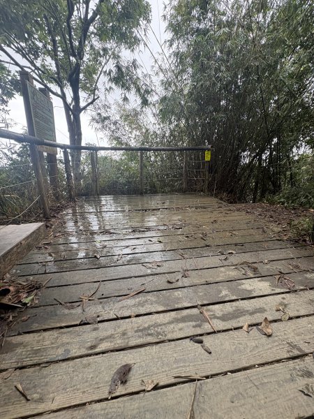 20251227尾寮山登山步道2970511