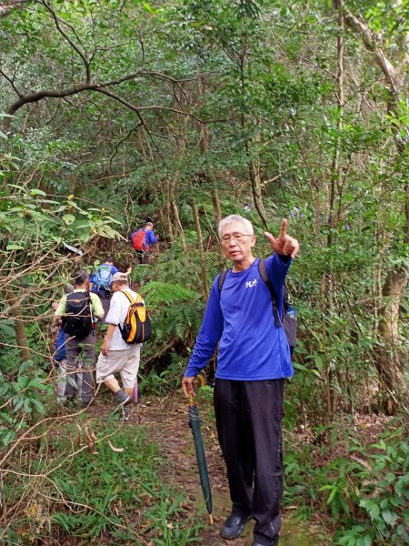 坪頂古圳步道→荷蘭古道→高頂山→北五指山→頂山→風櫃嘴→天溪園→聖人橋1509419