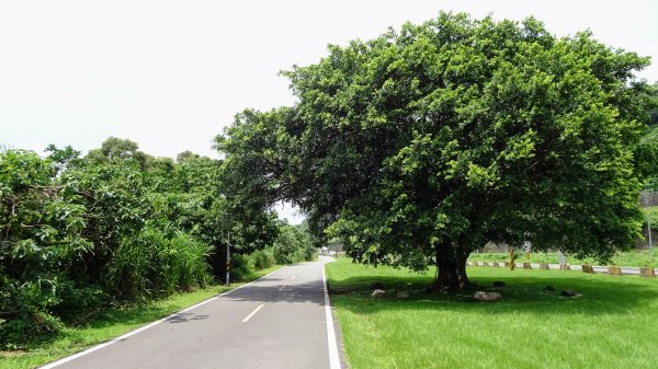 山佳荷花池2172765