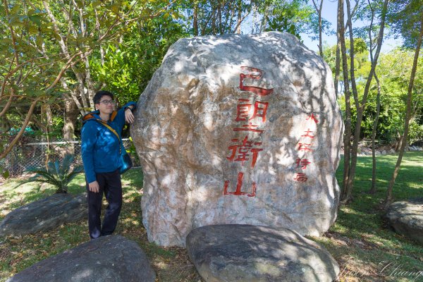 [台東]巴塱衛山2978301