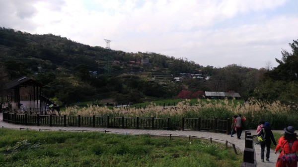 銀河洞越嶺步道+待老坑山+鵝角格山255008