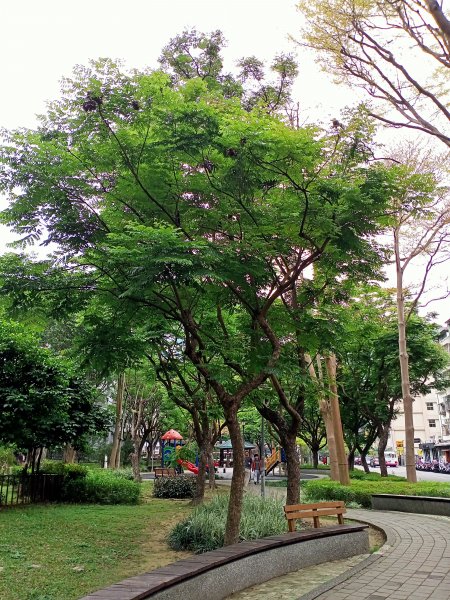 內湖瑞陽公園→文德三號公園→基隆河右岸→美堤河濱公園步道2089976