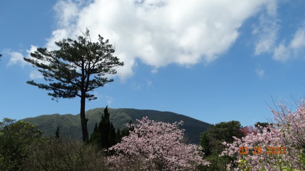 仙境?!雲霧繚繞! 2020/4th雲瀑853527