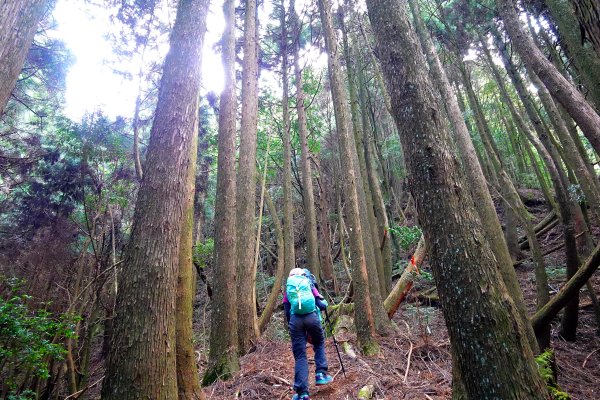 樂山舊鐵道順撿鹿坑山1320451