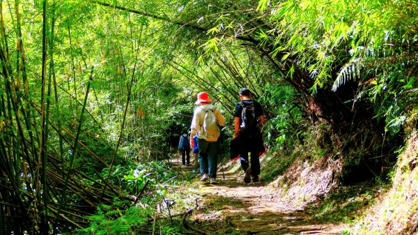 向天蝦不蝦2936807