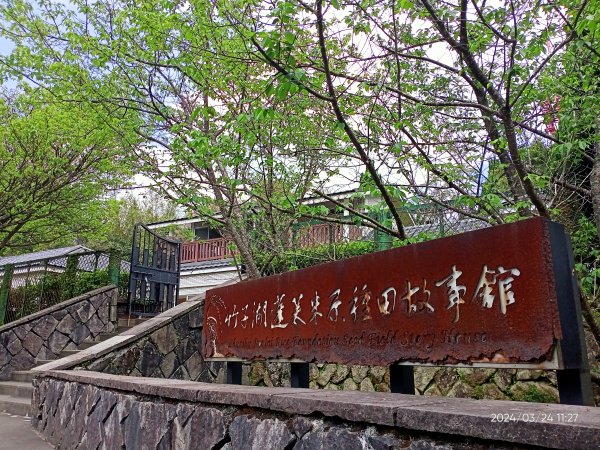 【發現陽明山】頂北投→陽峰古道→陽明山花鐘→陽明書屋→紫明溪步道→竹子湖海芋季2463818