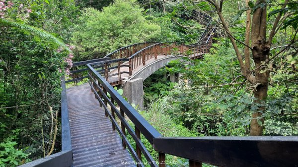 《台北》城市晨運｜虎山親山自然步道（松山慈惠堂）202505222795769