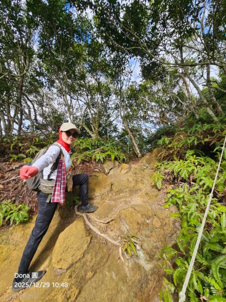 20251229石龜坑山上白石山下白石埤O走+阿姆坪2976676