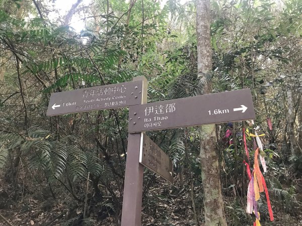 ~  水社大山登山步道  ~1635719