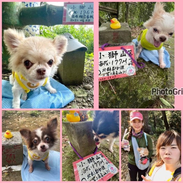 和小盆友們爬山的快樂時光❤️小獅山-和美山封面