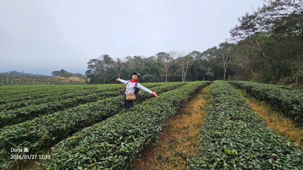 20260127三通嶺山.三義山(大桁茂山).慈濟山.大坪山大O走2989916