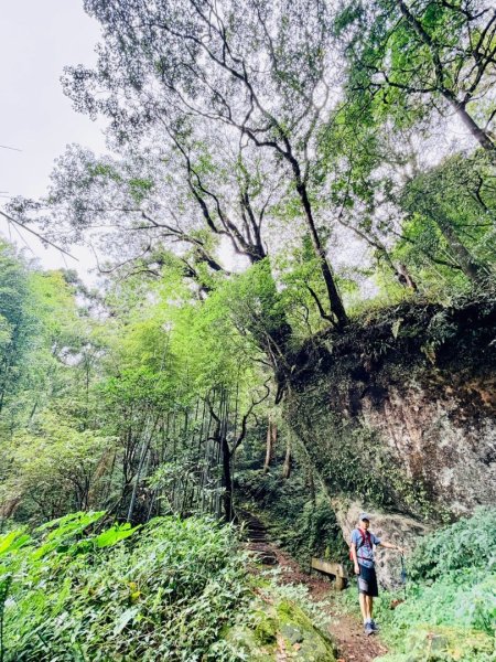 1150730嘉義大凍山之旅3092607
