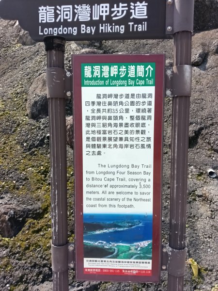 貢寮區龍洞灣岬步道+大禮堂海岸+釣客小徑+金沙灣碉堡野百合2765110