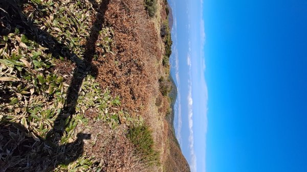 濟州島漢拏山-御里牧路線下2942713