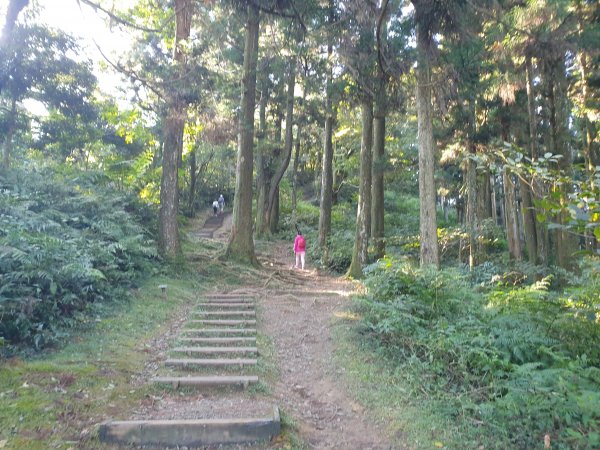 志繼山、東眼山、拉卡山1561246