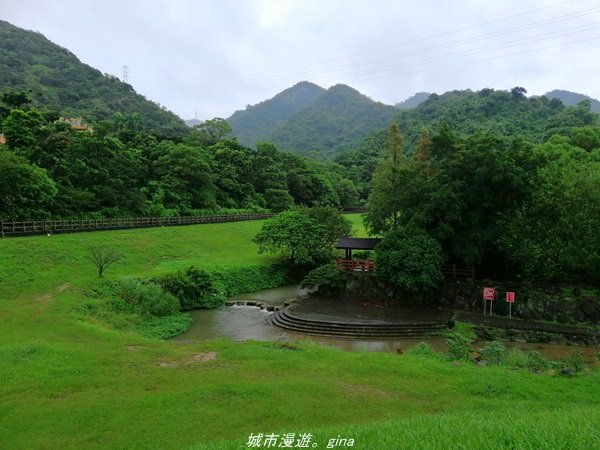 【台北。內湖】翻翻舊照來回味。 親水綠地散散步。大溝溪溪畔步道1412302