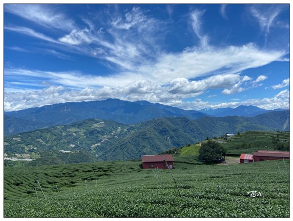 南東眼山 新基石 (南投、仁愛)2844757