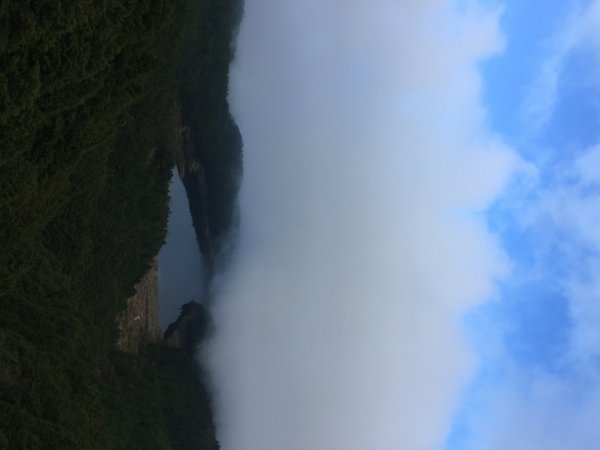 太平山台灣山毛櫸步道、魔幻森林、翠峰湖、望洋山2336488