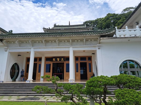 2026微笑山線望月亭桐花段3103852