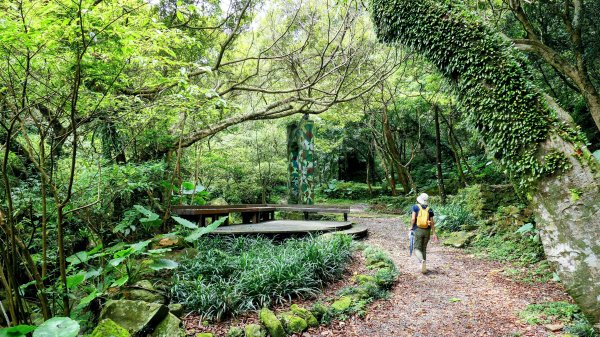 暖東峽谷大環小環2834417