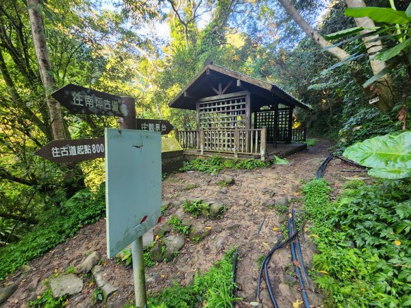 20240707馬胎古道2780983