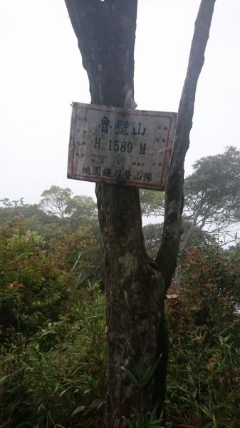 魯壁山步道320635