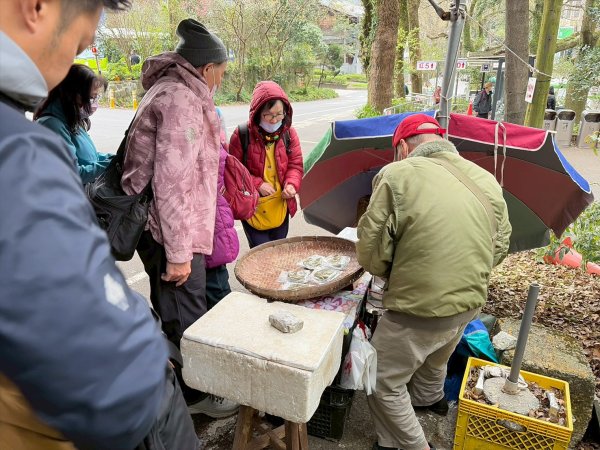 台北 北投 七星山主東峰苗圃線3004631
