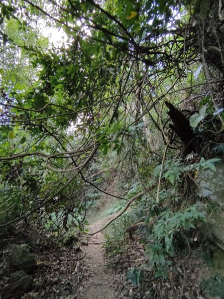 2023.11.30 九份二山2677671