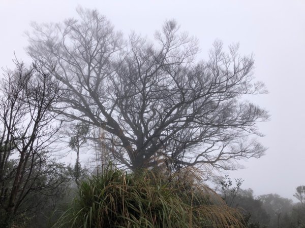 大白山+蘭崁山2695651