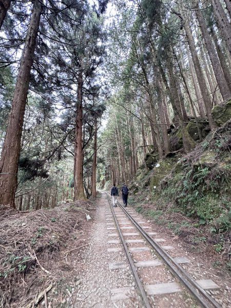 眠月線健行2992988