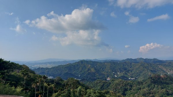 聚興山 林牛山除草1430647