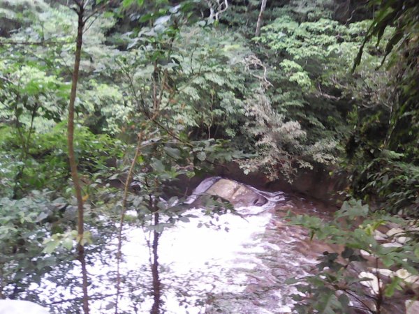 滿月圓國家森林遊樂區1205165