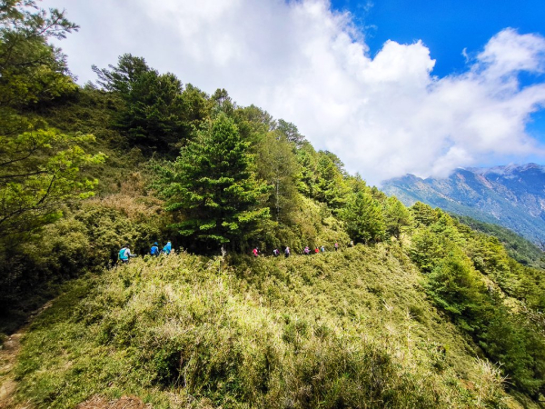 ❤  塔石縱走未竟，塔塔加漫遊，亦是風景