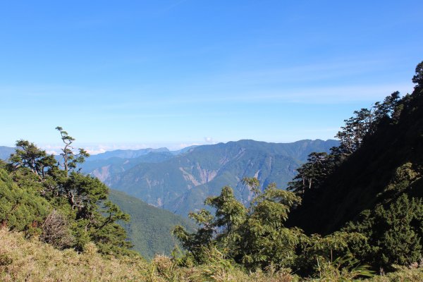 20220711一日雙星關山嶺山-塔關山1766676