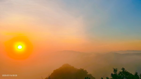 雲山水花鳥蝶-天龍國阿伯的日常 7/162838407