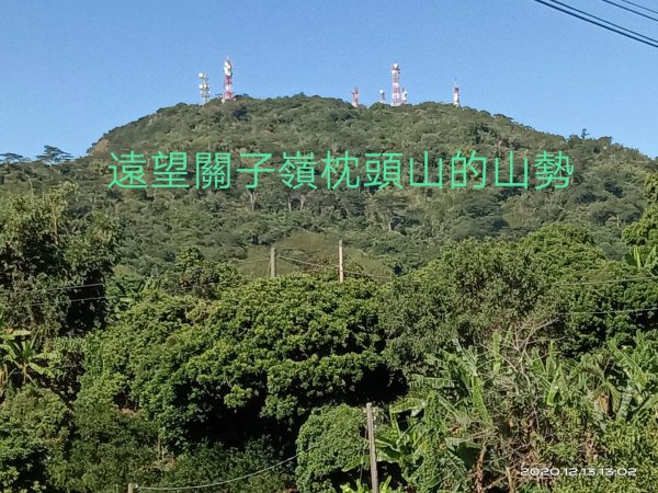  步道巡訪員 l 崁頭山步道12月份巡禮1204915